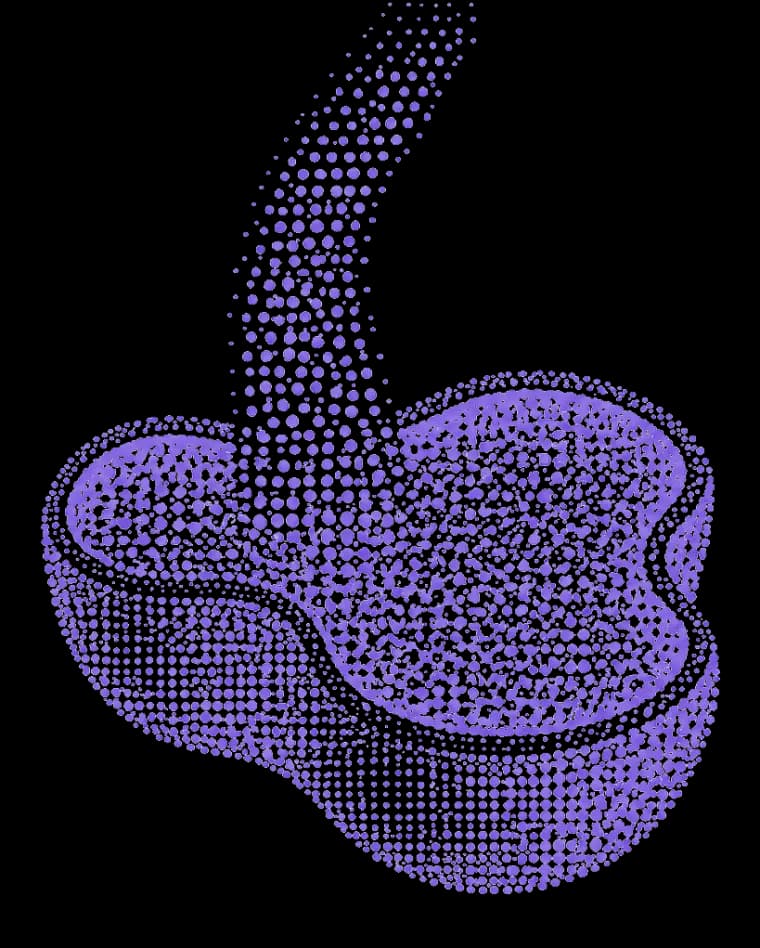 Illustration of the Linkt approach